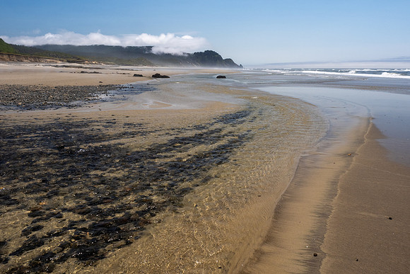 Pacific NW 2023