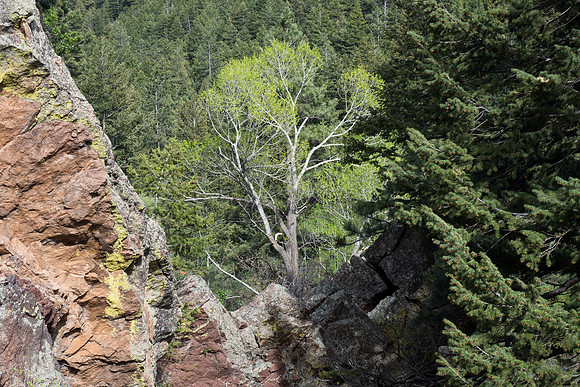Colorado 2016 - Boulder (P5216810)