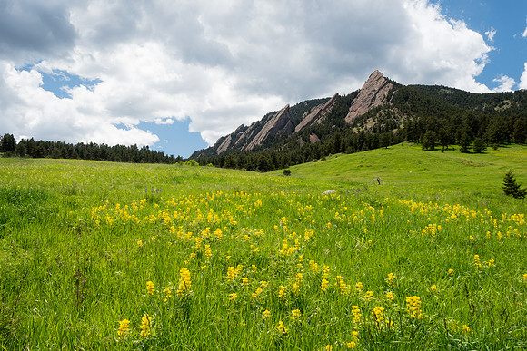 Colorado 2016 - Boulder (P5287206)