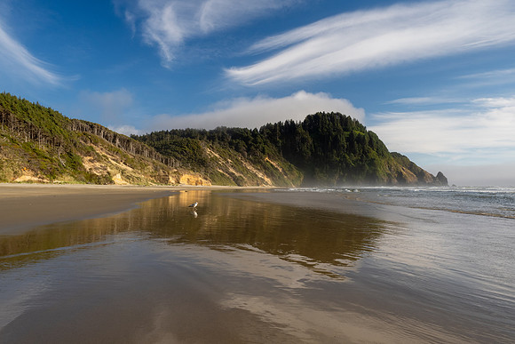 Pacific NW 2023