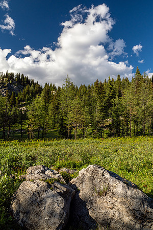 Banff National Park 2025