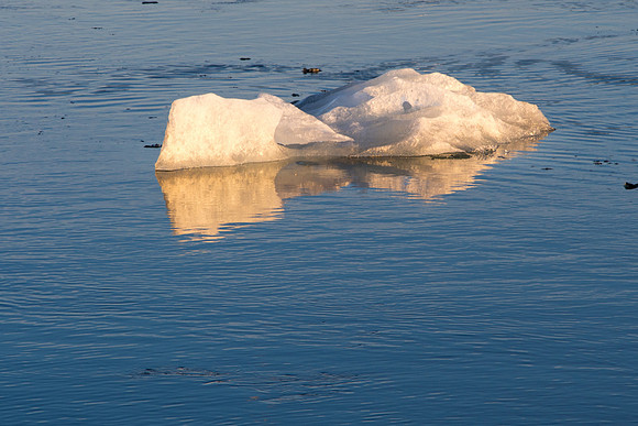 Iceland 2014