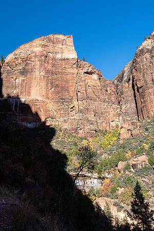 Zion National Park 2024