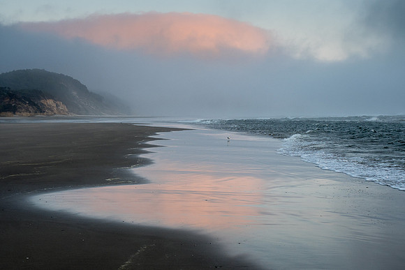 Oregon 2016
