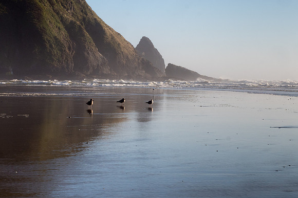 Oregon 2016