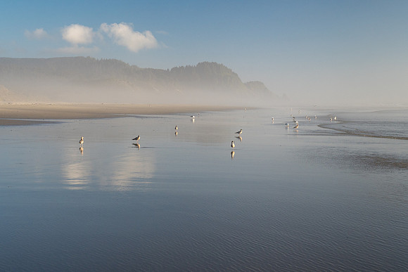 Oregon 2016