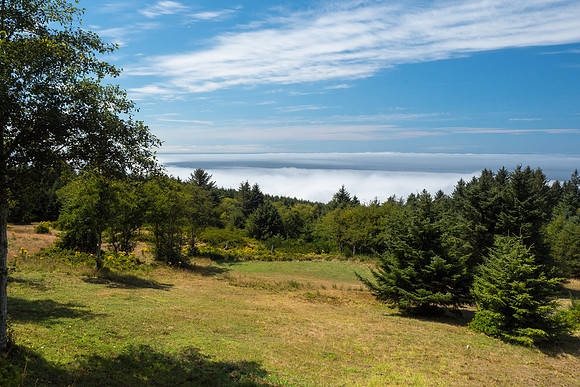 Oregon 2016