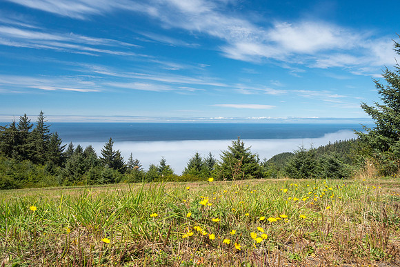 Oregon 2016