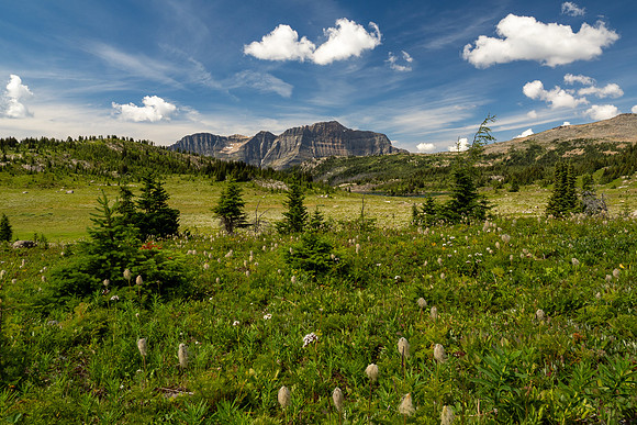 Banff National Park 2025