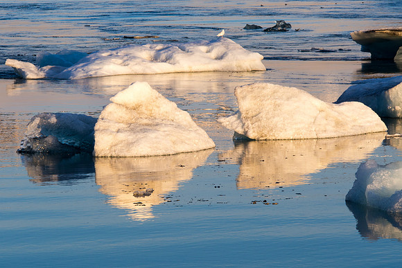 Iceland 2014