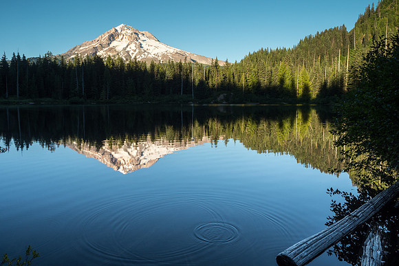 Oregon 2017