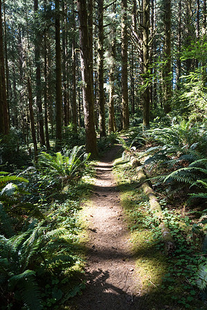 Oregon 2017