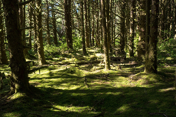 Oregon 2017