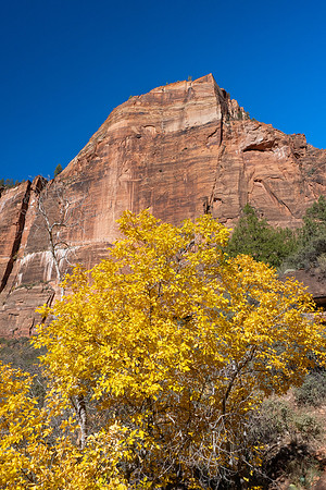 Zion National Park 2024