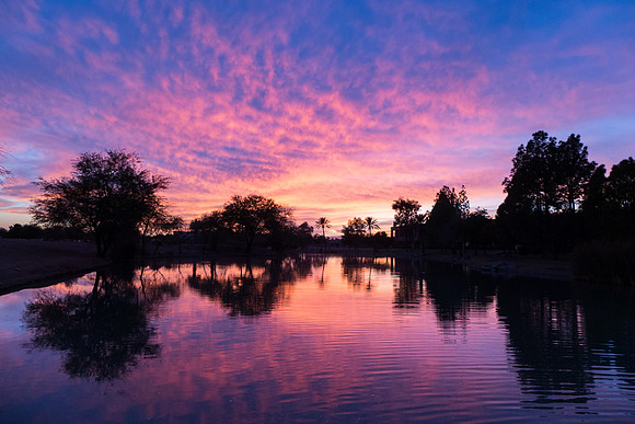 Arizona 2012