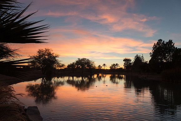 Arizona 2012