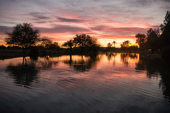 Arizona 2012