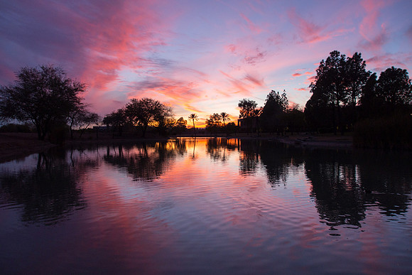 Arizona 2012