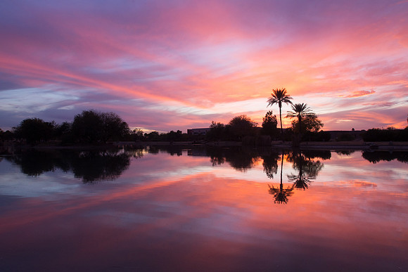 Arizona 2013