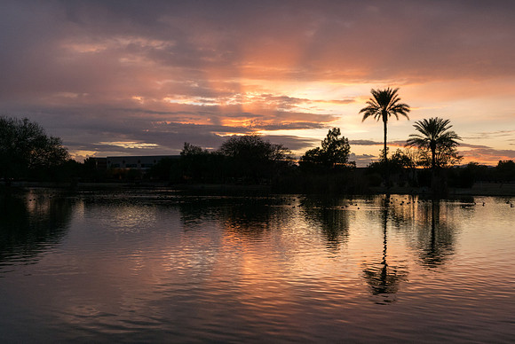 Arizona 2015