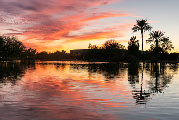 Arizona 2015