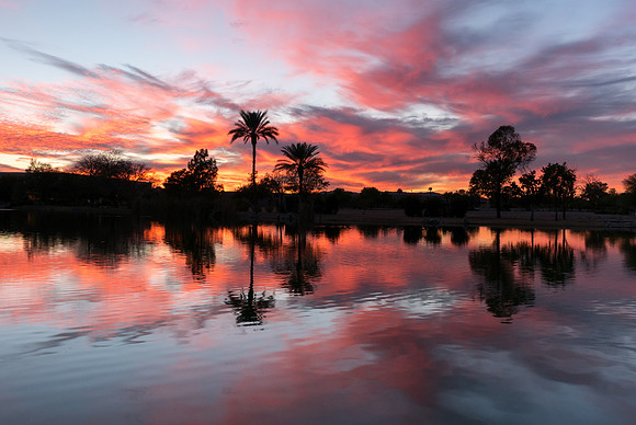 Arizona 2015