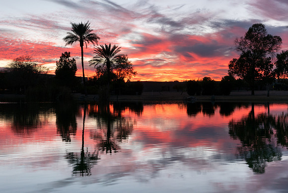 Arizona 2015