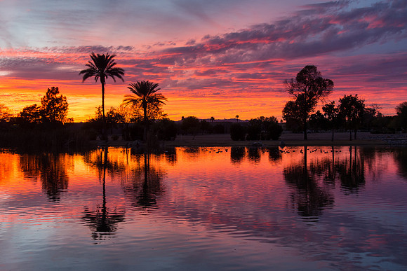 Arizona 2015