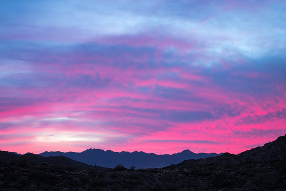 Arizona 2015