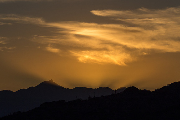 Arizona 2016
