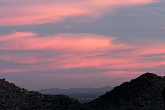 Arizona 2016