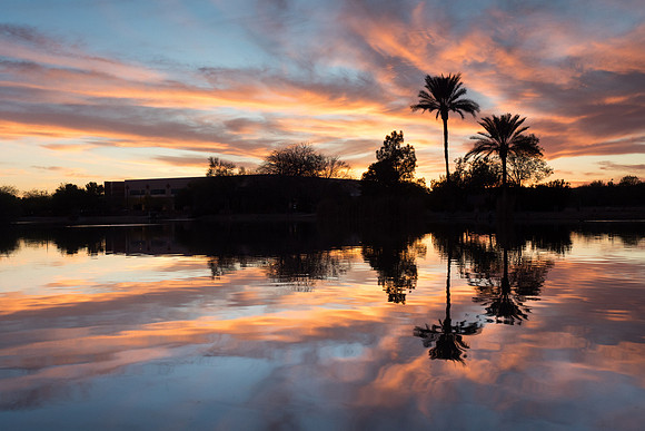 Arizona 2016