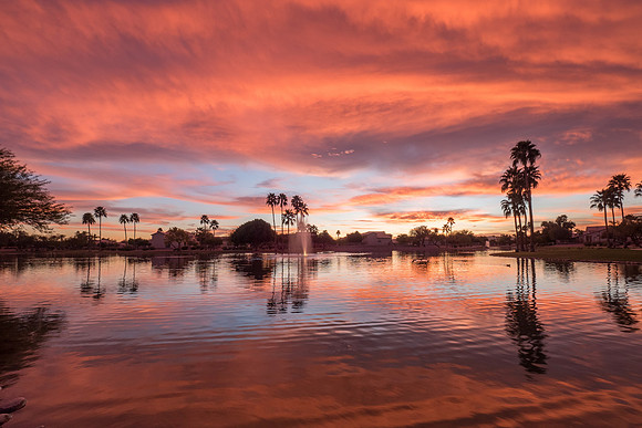 Arizona 2016
