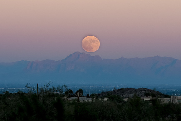 Arizona 2017
