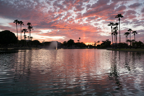 Arizona 2017