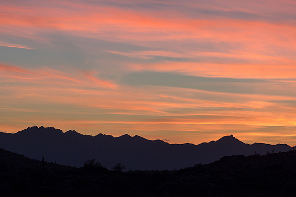 Arizona 2017