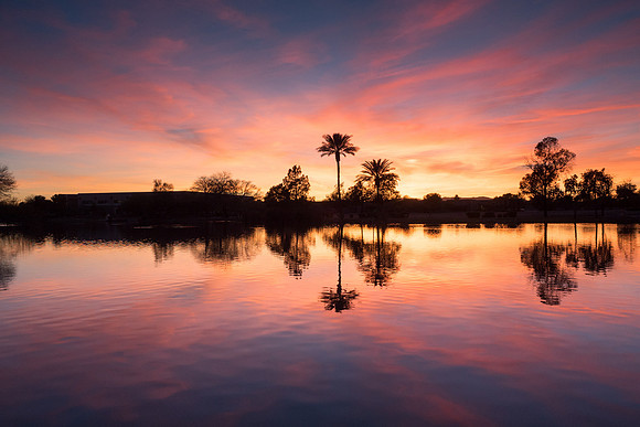 Arizona 2017