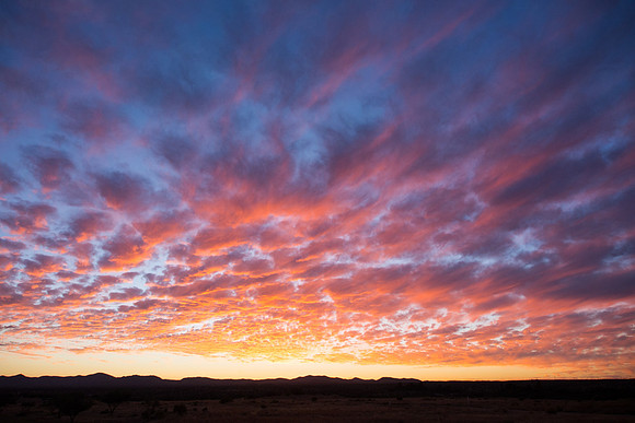 Arizona 2014