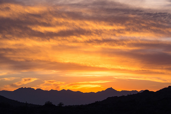 Arizona 2014