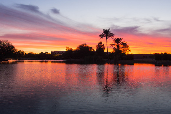 Arizona 2014