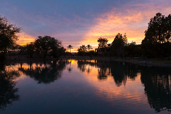 Arizona 2012