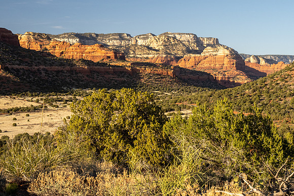 Arizona 2021