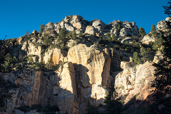 Arizona 2017