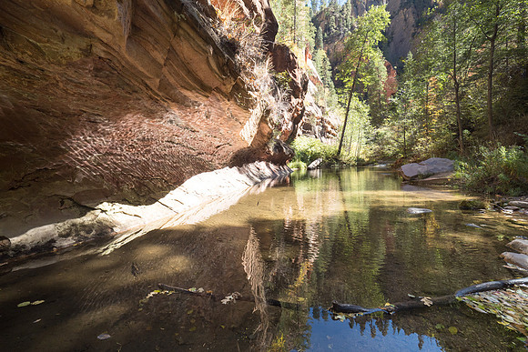 Arizona 2017