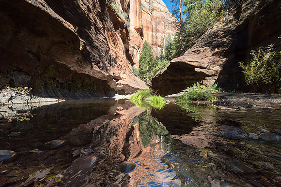 Arizona 2017