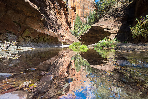 Arizona 2017