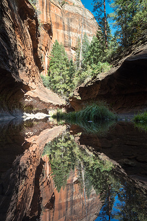 Arizona 2017