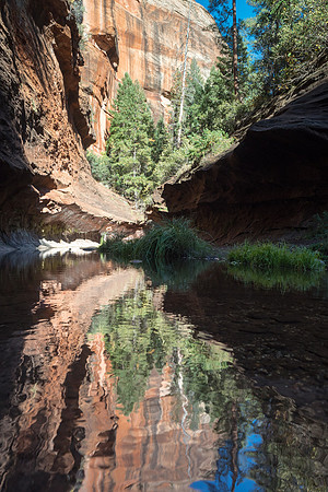 Arizona 2017