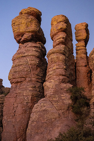 Arizona 2024