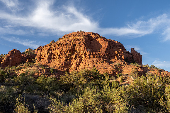 Arizona 2021